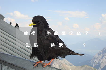 被酒駕的追尾了，私了協(xié)定后反被告敲詐勒索?。?></p>
                <p>常在路上走，哪有不挨“宰”</p><p>這不，最近車主戴先生就挨“宰”了</p><p>讓我們一起來看看到底發(fā)生了什么？</p><p>車  險(xiǎn)  案  例 </p><p>原來，在2021年12月，捷豹車主戴先生晚上駕車回家，在一個(gè)紅綠燈路口，正停那燈的時(shí)候，“咣”一聲，自己的車被人追尾了?。?/p><p>戴先生下車趕緊下車查看，發(fā)現(xiàn)整個(gè)后尾箱被撞了個(gè)大坑，再一看，對(duì)方車主還坐在車?yán)铮锨扒密嚧?，?duì)方還磨蹭了半天才放下車窗，一股濃郁的酒精味飄了出來，戴先生趕緊拿出手機(jī)準(zhǔn)備報(bào)警。</p><p>這時(shí)候，對(duì)方車主趕緊下車阻攔，不斷的求戴先生，說不要報(bào)警，愿意私了解決。</p><p>戴先生想到現(xiàn)在社會(huì)打拼也確實(shí)并不容易，一時(shí)心軟，就答應(yīng)了私了，然后根據(jù)自己車的受損情況跟4S店的人員咨詢后，就報(bào)出了一個(gè)6萬的數(shù)，對(duì)方也就稍猶豫了一下后也就拿出手機(jī)掃碼轉(zhuǎn)賬了。</p><p>戴先生本以為這事情也就這么過去了，可不曾想到，1周后，突然有警察上門，說有人報(bào)警舉報(bào)他敲詐勒索?。?！跟警察一了解，原來是那天酒駕追尾的車主報(bào)的案。</p><p>那么，像類似這種事故</p><p>到底是否屬于敲詐?</p><p>到底可不可以就這樣私了呢？</p>案  例  解  讀<p>是否敲詐？！</p><p>在事故發(fā)生之后，戴先生是根據(jù)咨詢4S店的工作人員后，了解到自己車輛受損將需要5、6萬才能修復(fù)，在這種情況下向酒駕車主方要6萬，這個(gè)明顯是彌補(bǔ)損失，并不存在故意的非法占有。如果說實(shí)際損失只要幾千塊錢，那么他要這6萬，并且如果以報(bào)警威脅酒駕方要求酒駕方支付不符合實(shí)際損失的超額賠償，則很可能會(huì)構(gòu)成<a style='color:#2f2f2f;cursor:pointer;' href='http://www.szhualiqz.com.cn/laws-4475.html'>敲詐勒索罪</a>。</p><p>是否可以私了？</p><p>對(duì)方飲酒駕駛造成交通事故，已經(jīng)構(gòu)成違法犯罪，應(yīng)當(dāng)?shù)谝粫r(shí)間報(bào)警處理。</p><p>因交通事故簽訂“私了協(xié)議”，如果協(xié)議內(nèi)容超出了合理范圍或違反法律規(guī)定，將很可能喪失相應(yīng)部分的有效性。</p><p>在實(shí)際當(dāng)中，如果損失數(shù)額過多的話，是非常容易引起糾紛的，因此，我們建議凡是車損超過兩千元以上的，還是通過報(bào)警處理，會(huì)較為妥當(dāng)。</p>         
              
                    </div>
</div>

        </div>
                     </div>
</div>

         


            </div>
      <hr>
        
<div   id=